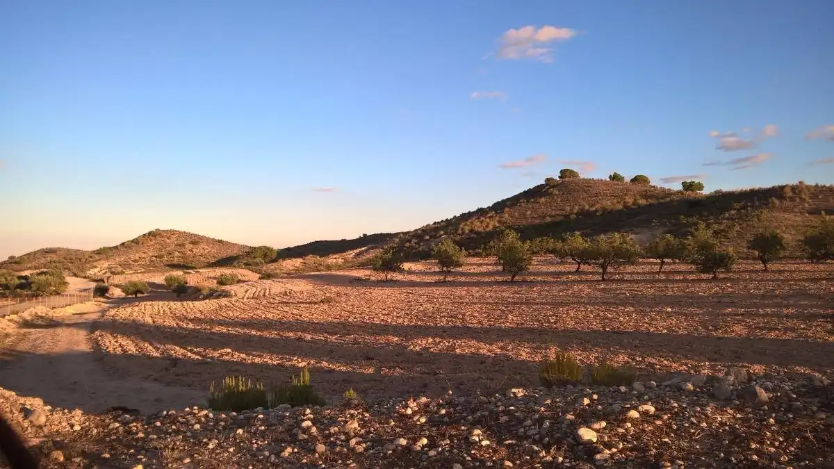 Vista exterior de Finca rústica en venta en Alcantarilla