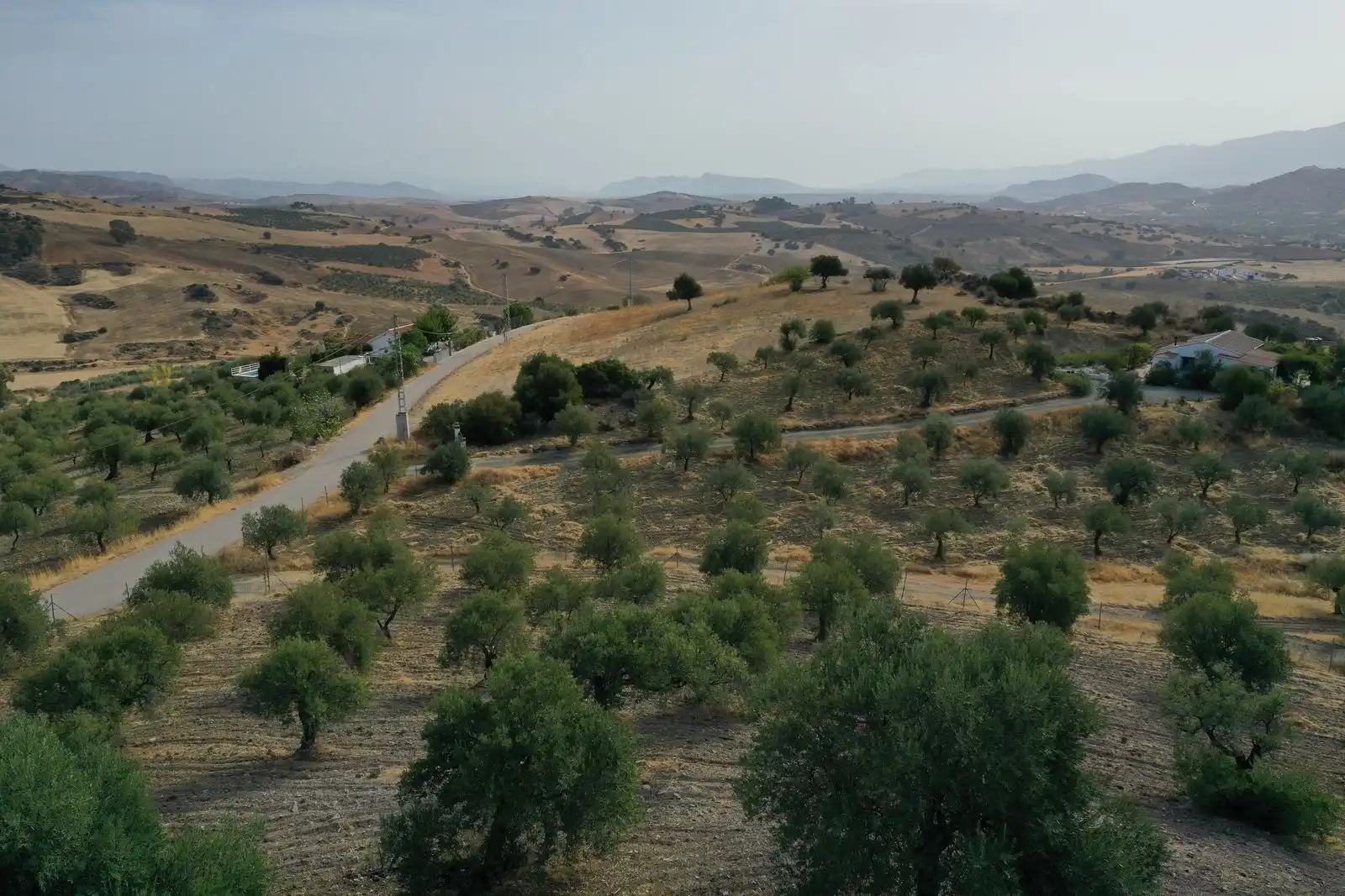 Vista exterior de Finca rústica en venta en Alozaina con Aire acondicionado, Calefacción y Jardín privado