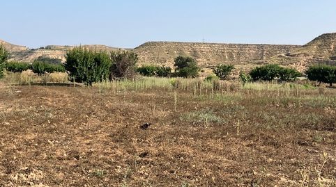 FINCA DE RECREO CON CAPACIDAD DE EDIFCIACIÓN, immagine 5