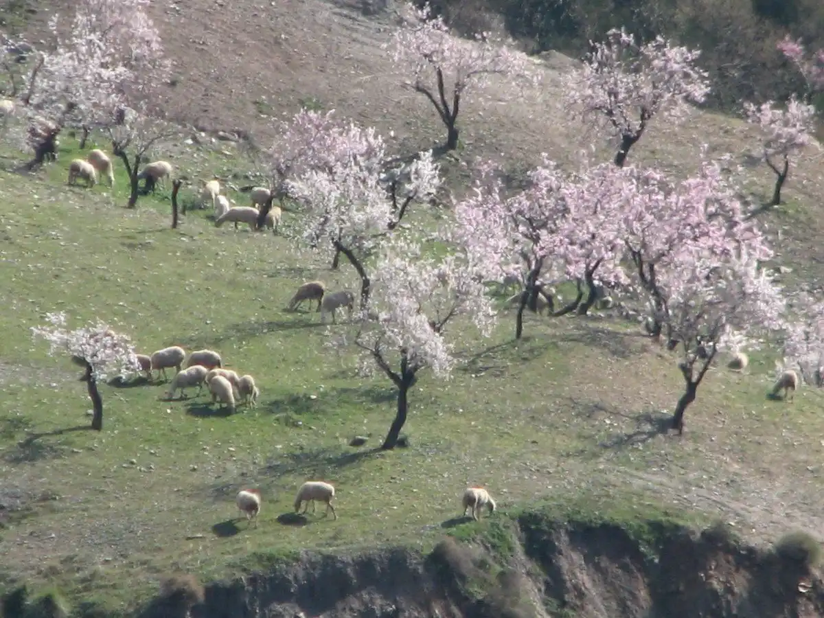Vista exterior de Finca rústica en venda en Lecrín amb Aire condicionat i Calefacció