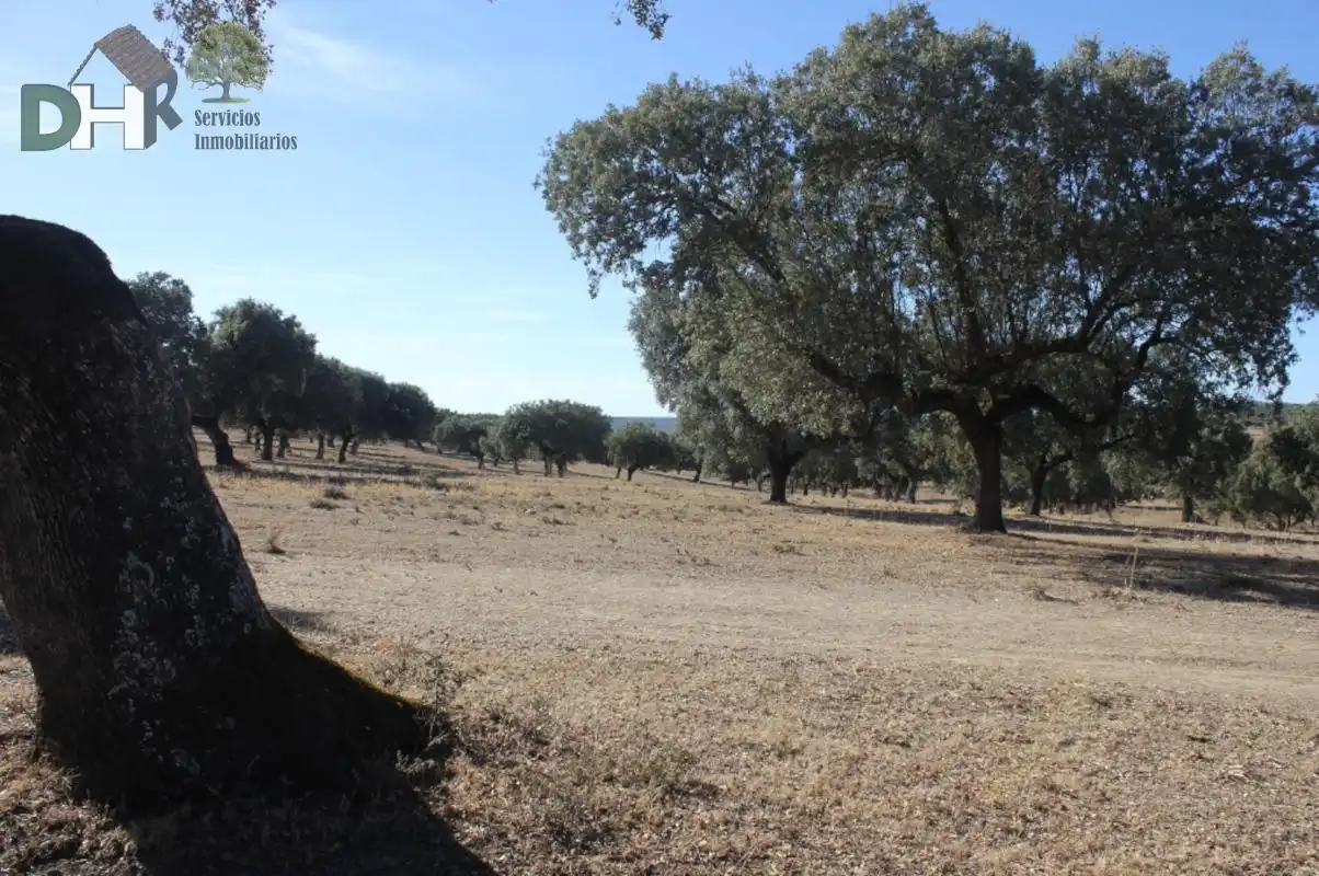 Terreni e lotti in vendita a Ceres Golf, imagen 6