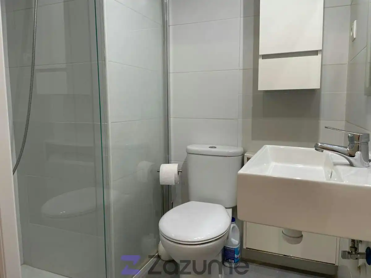 Appartamento con terrazza in affitto a Av. Fco. de Goya, imagen 10
