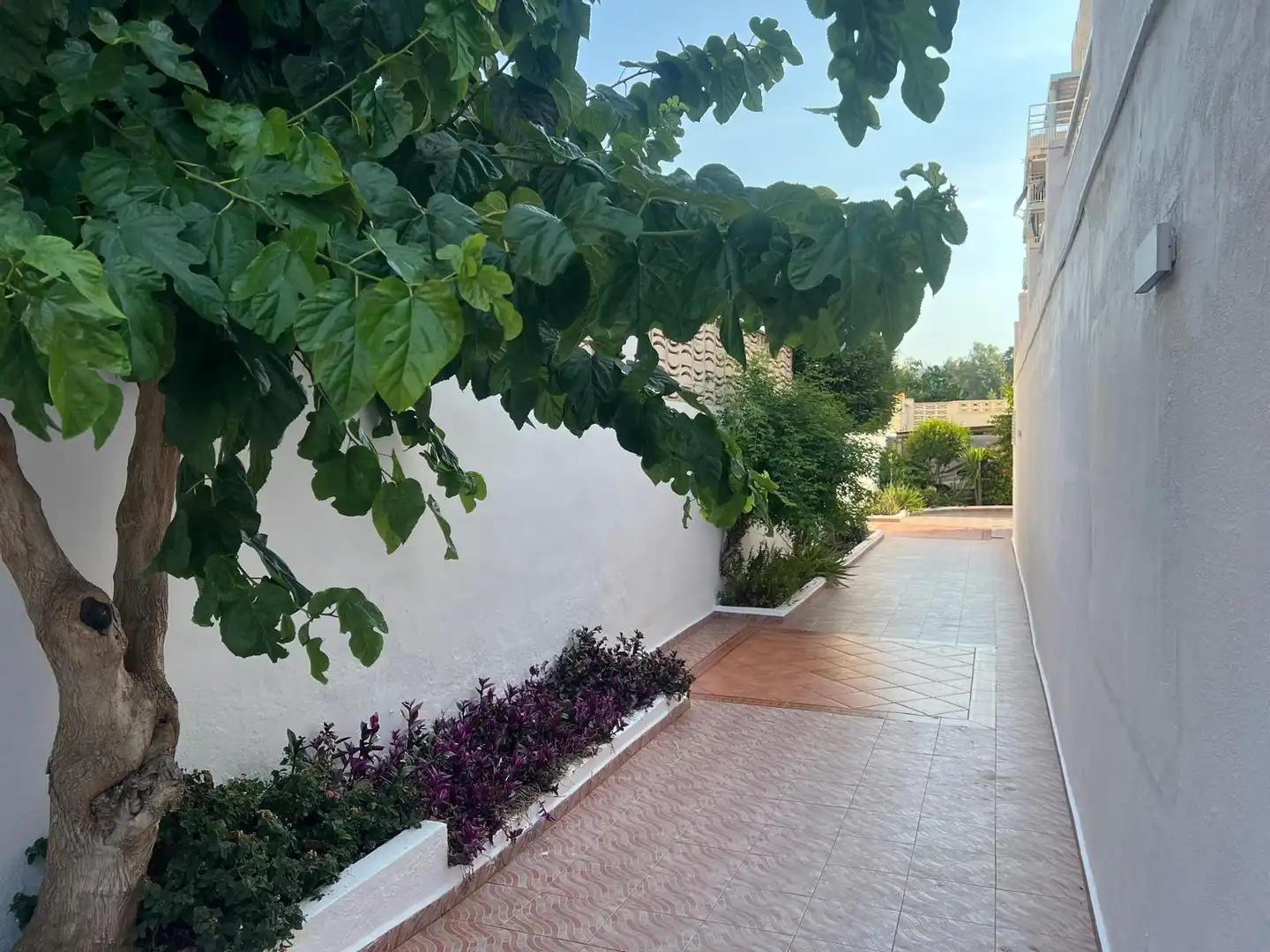 Apartament amb piscina de lloguer a Playa de Gandia, imagen 34