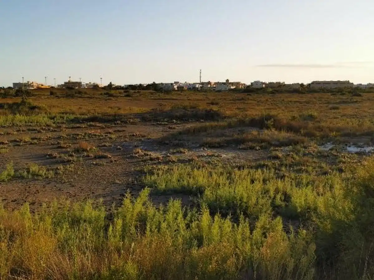 Terreno rustico in vendita a Camino LOS HUERTOS, imagen 17