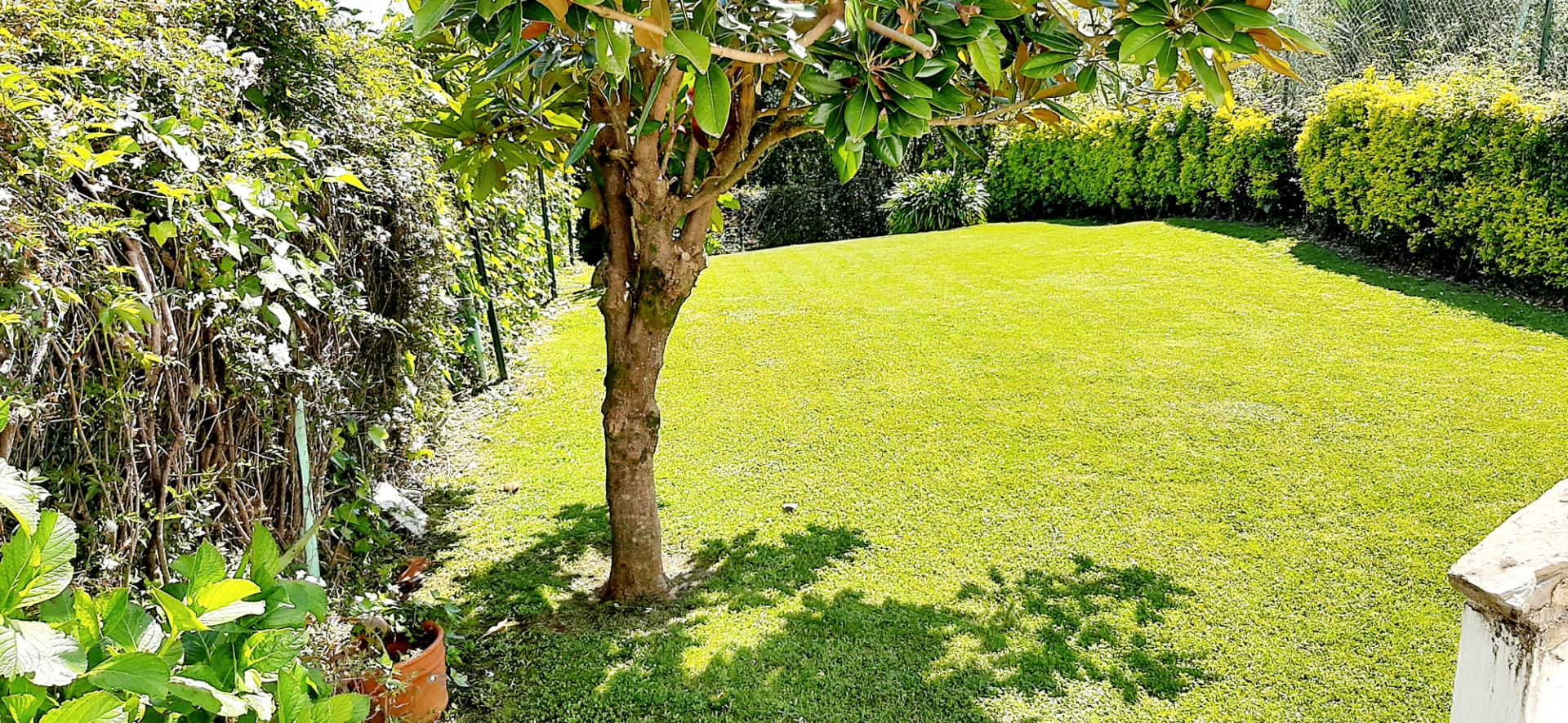 Garden of House or chalet for sale in Mungia  with Heating, Private garden and Terrace