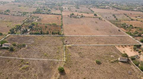 Photo 3 of Land for sale in Sa Gruta, Manacor Centre, Manacor