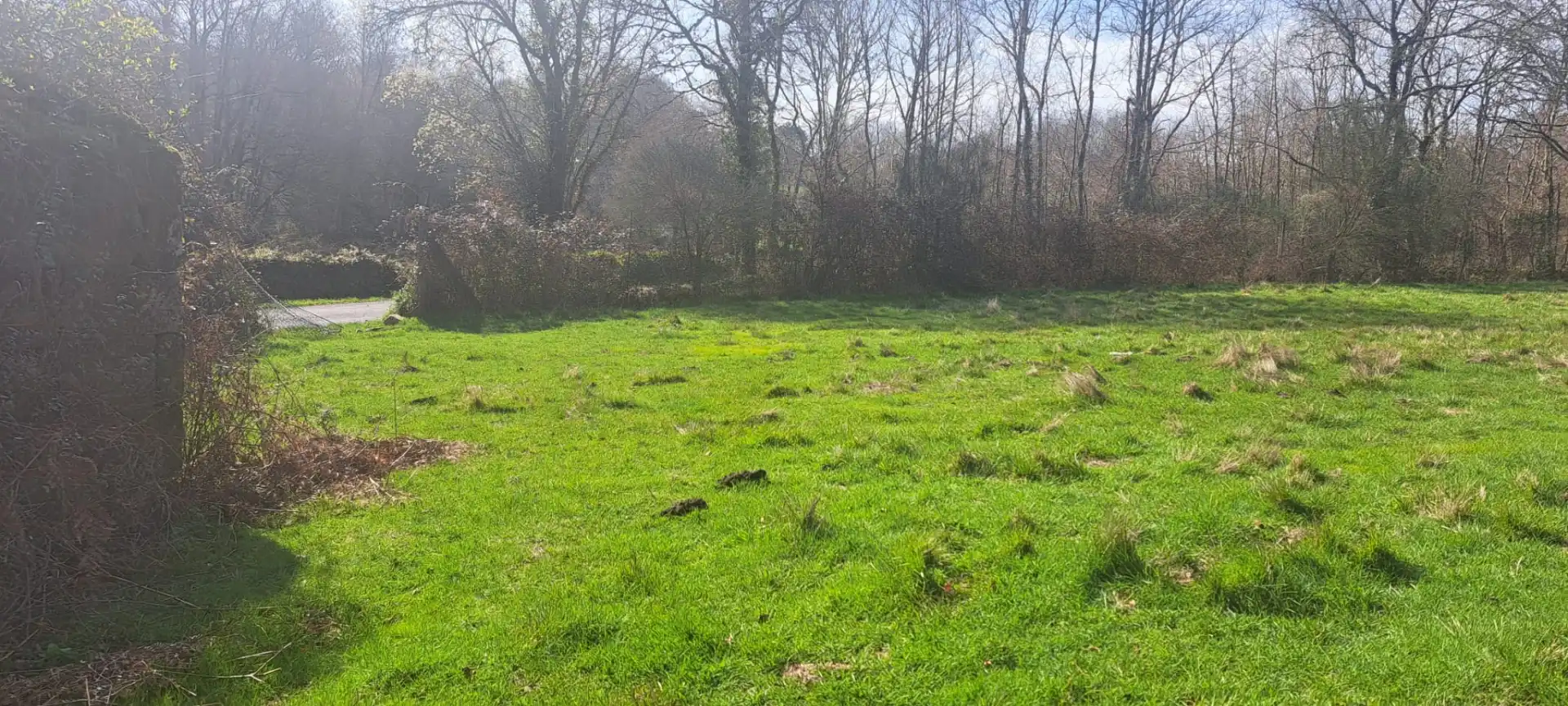Terrenys i solars en venda a Amoeiro