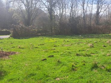 Terreno residencial en venta en Amoeiro