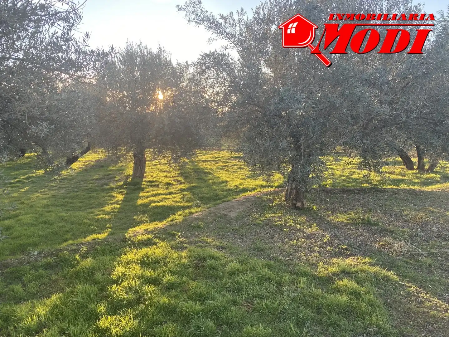Terrenys i solars en venda a Belicena, imagen 4