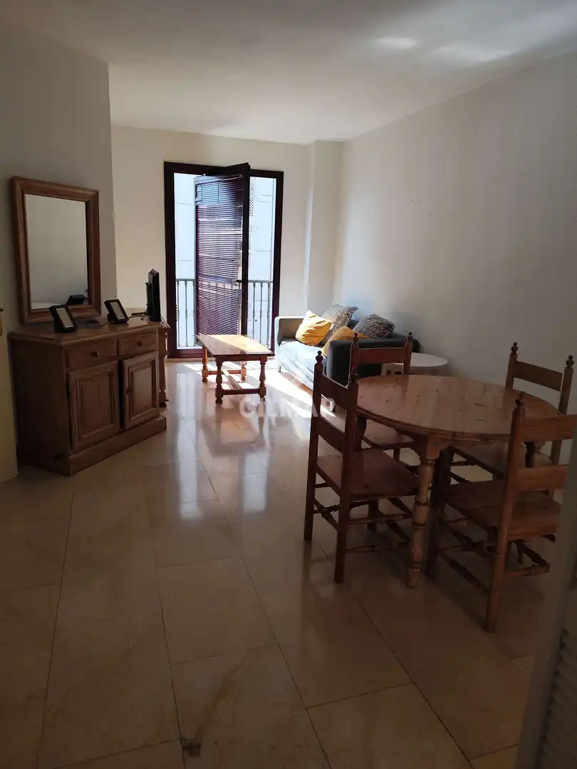 Sala de estar de Apartamento de alquiler en Sevilla con Calefacción y Amueblado