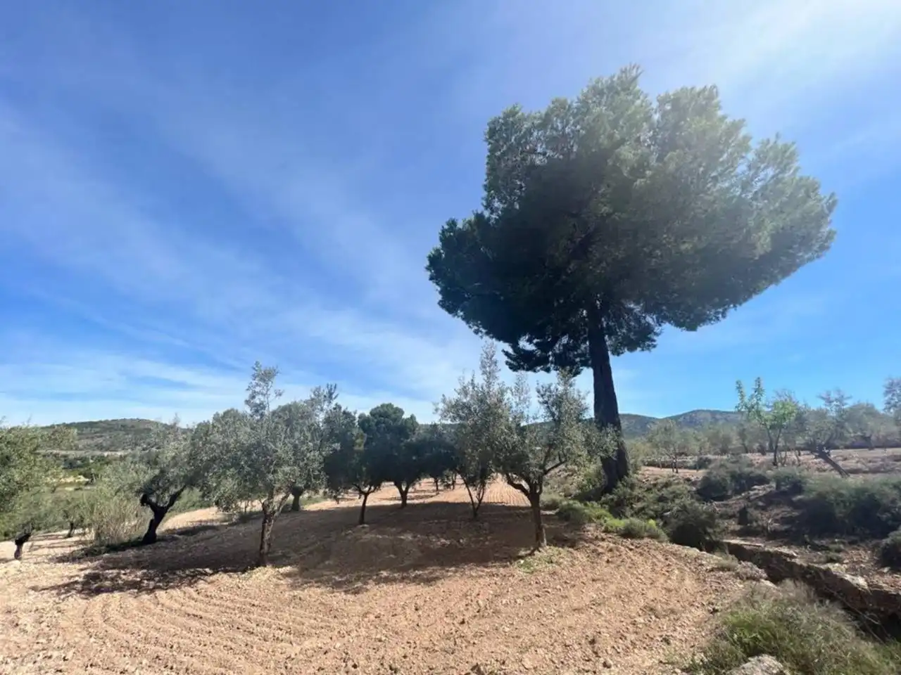 Chalet con jardín en venta en Calle Poligono, imagen 119