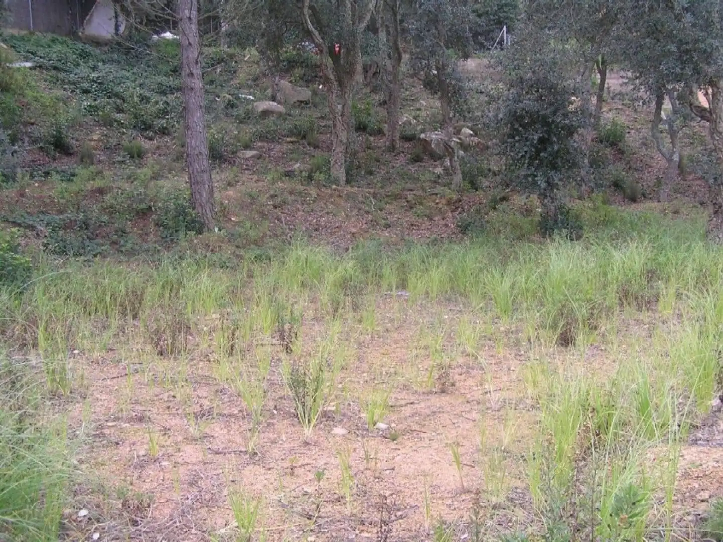 Lands and plots for sale in Serra Brava, imagen 2