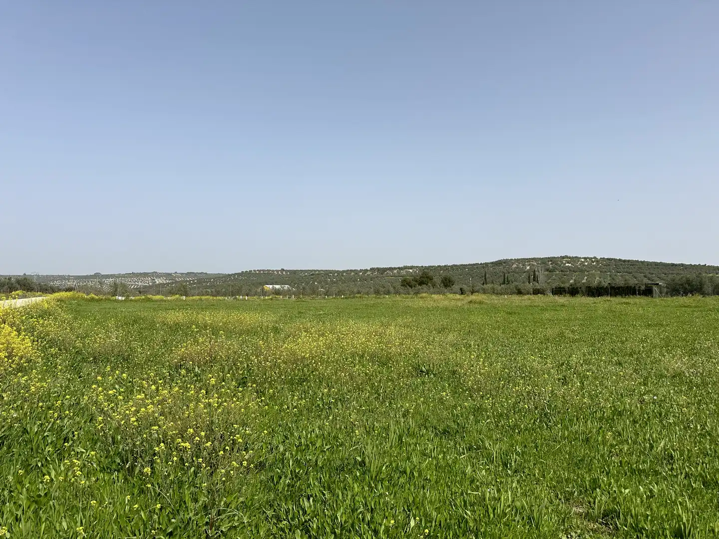 Terrenos y solares en venta en Úbeda