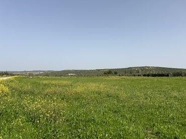 Terreno rustico in vendita a Úbeda