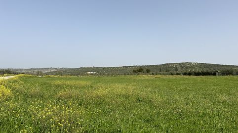 SE VENDE PARCELA RÚSTICA ZONA EL TESORERO