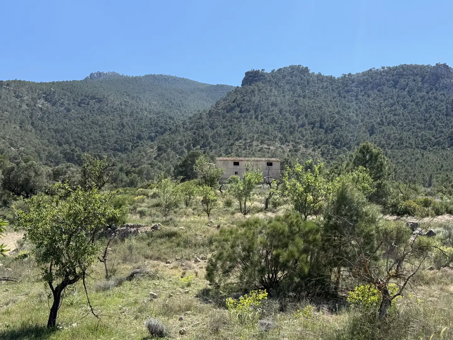 Terrain rustique à vendre à Cieza, imagen 5