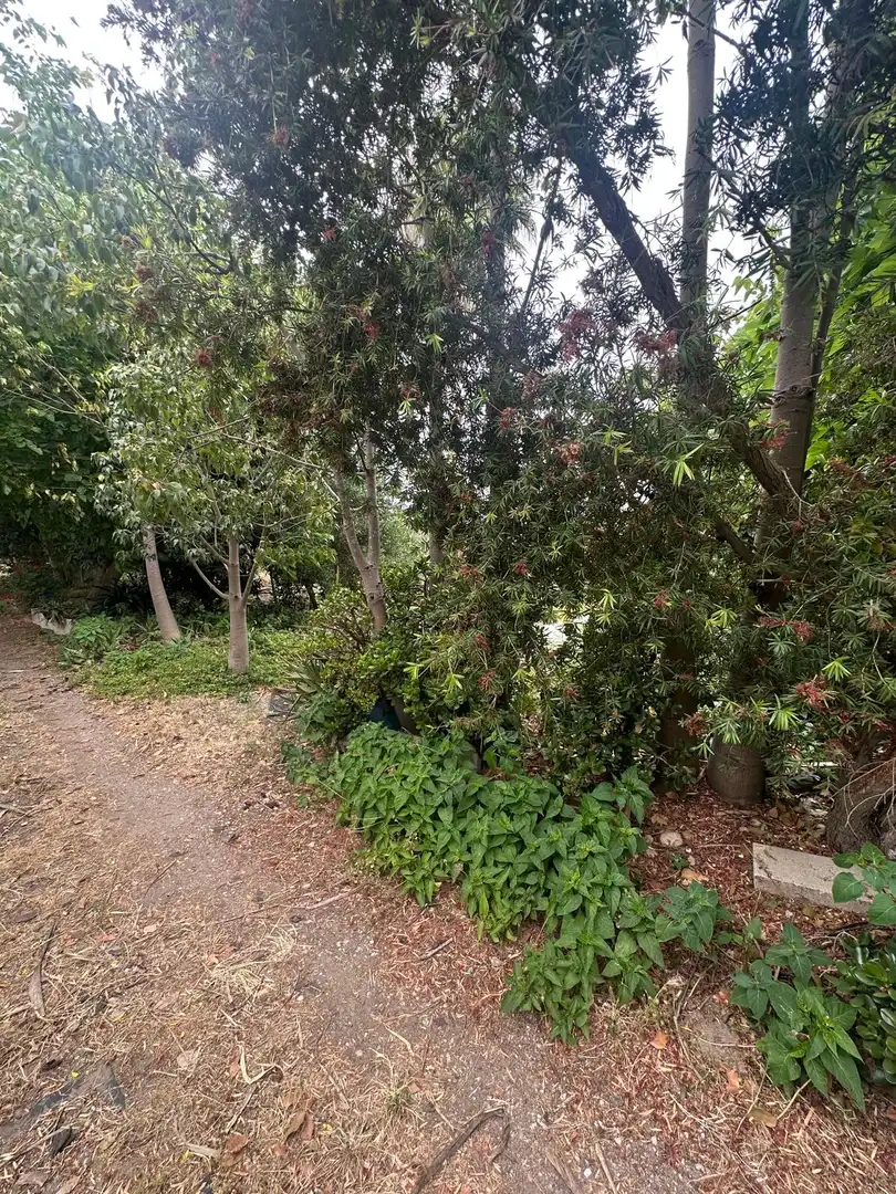 Terreni e lotti in vendita a Gavà Mar, imagen 6