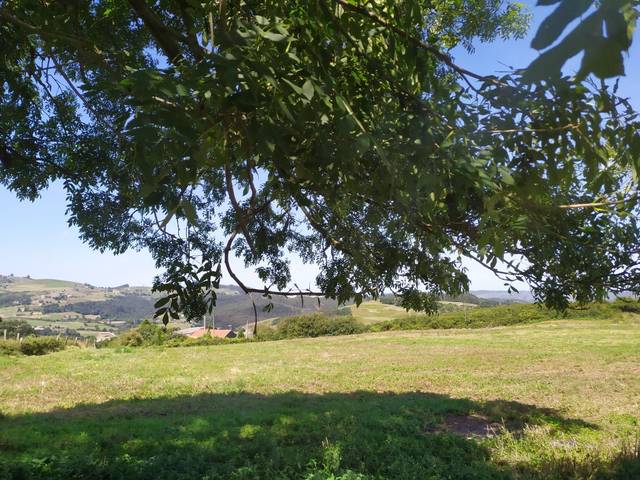 Terreno en Venta en Lugar Robledo, 28 en Llanera