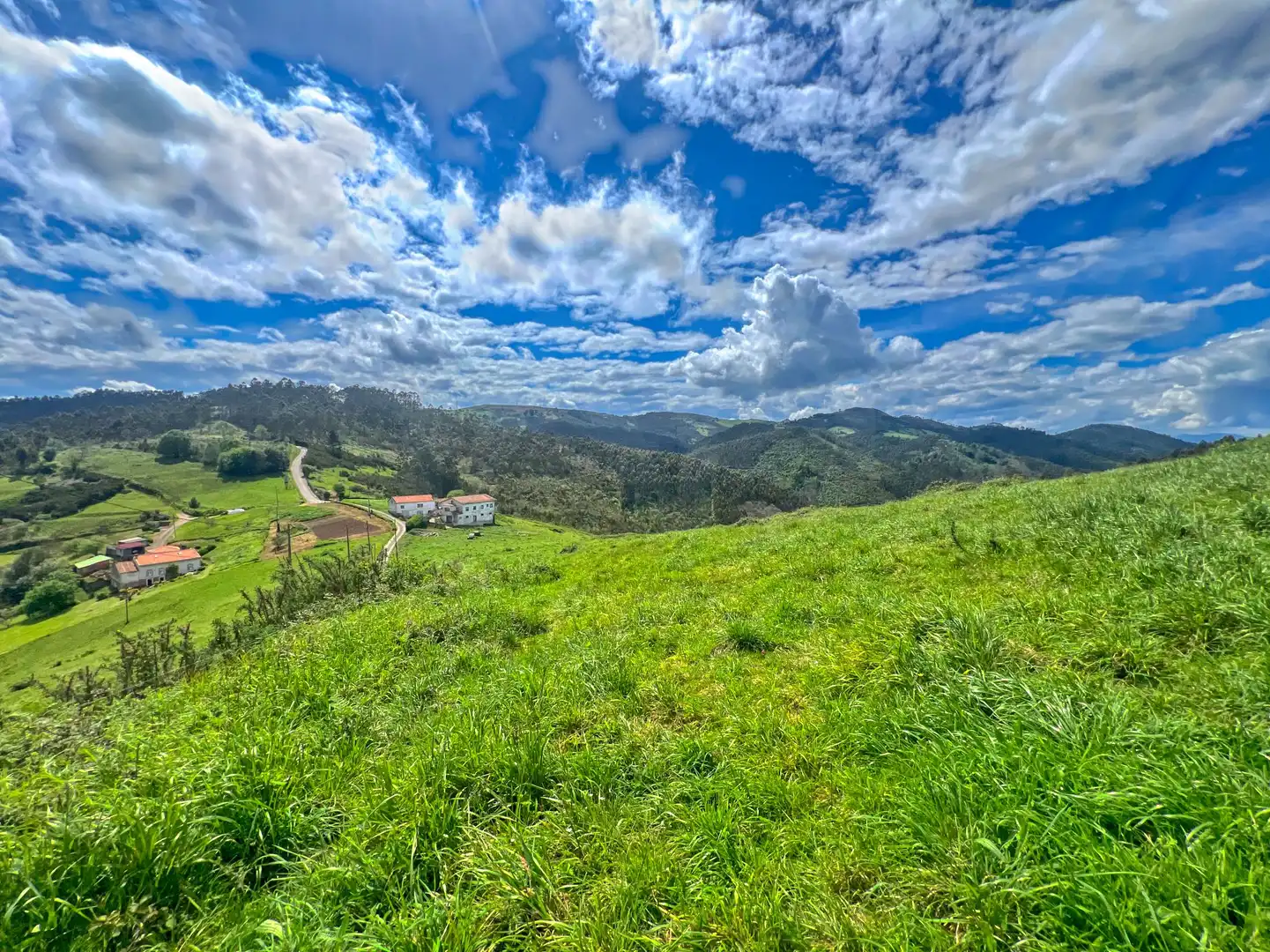 Lands and plots for sale in Pillarno, imagen 19