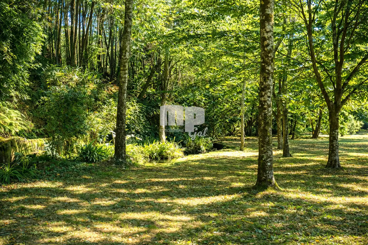 Finca rústica en venda en Gondomar amb Calefacció, Jardí privat i Terrassa