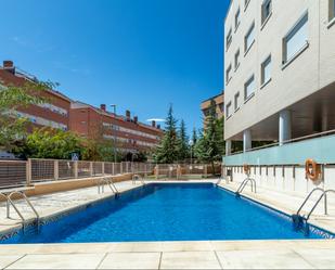 Swimming pool of Flat to rent in Colmenar Viejo