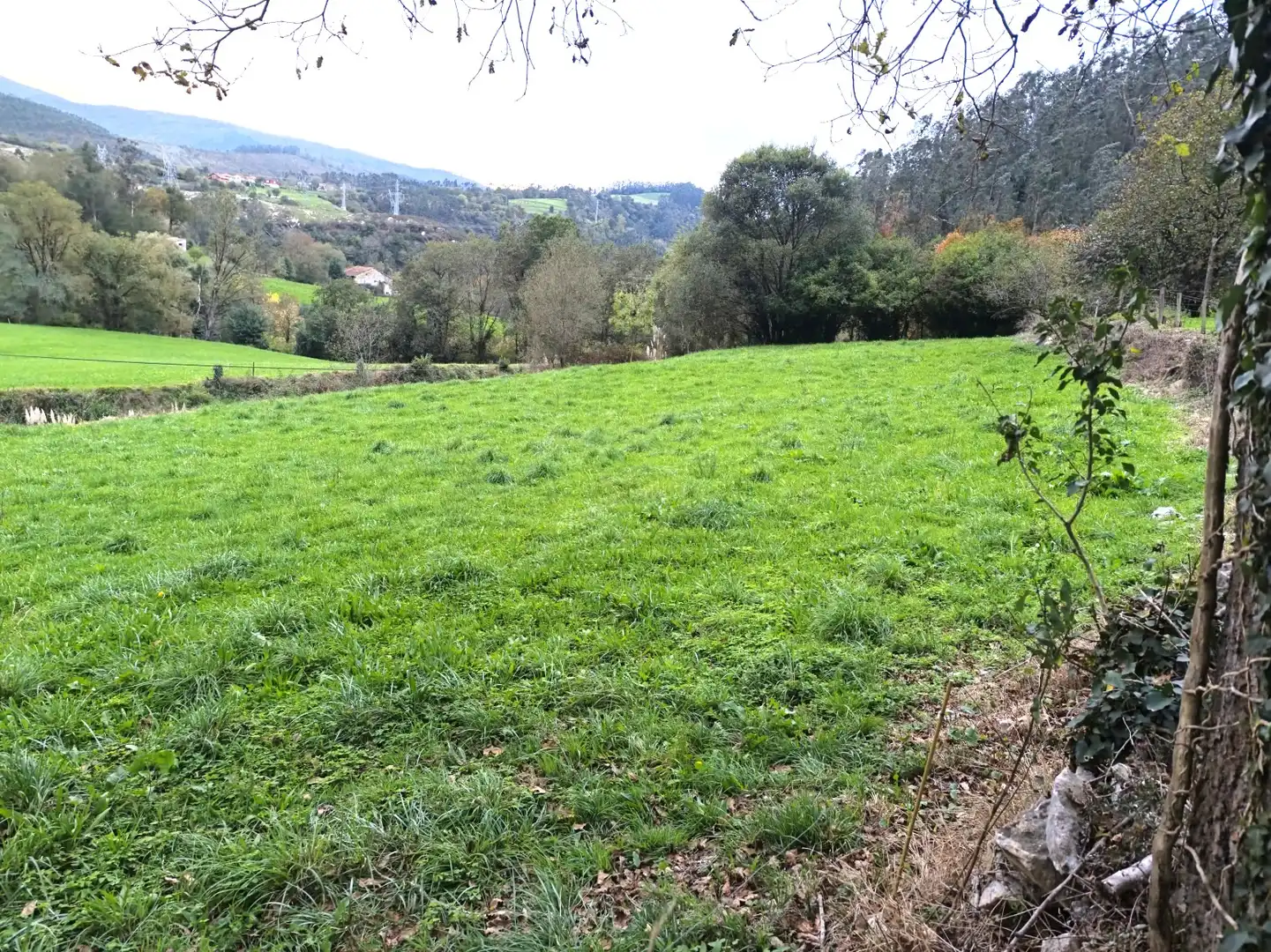 Terreno rústico en venta en Cuevas Las - Las Cuevas, imagen 2