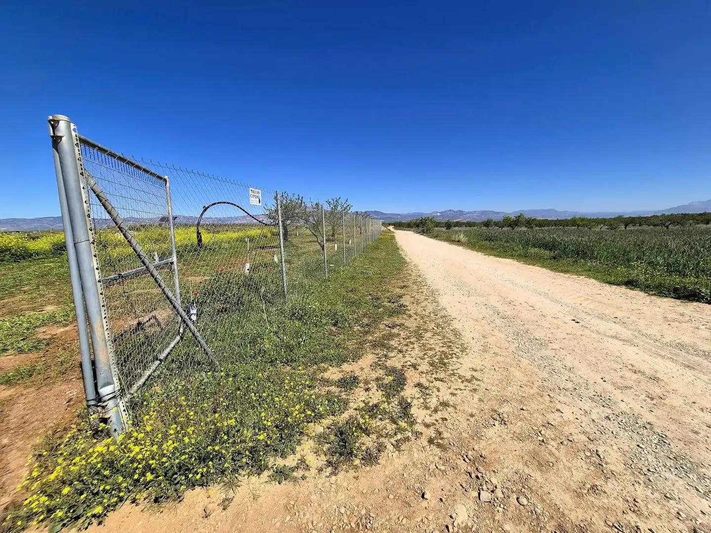 Terreny rústic en venda a Moraleda de Zafayona, imagen 22