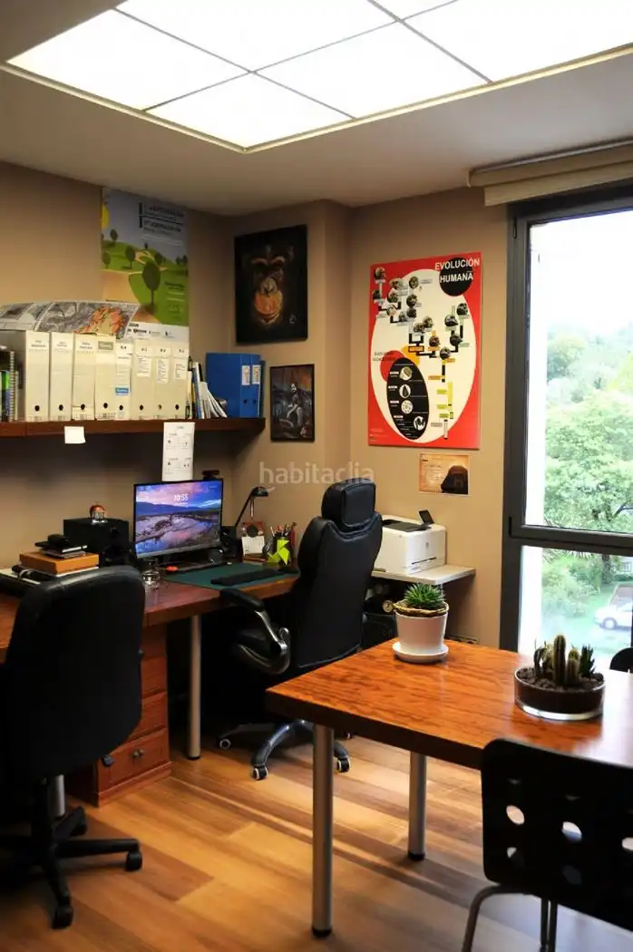 Office space with lift for sale in Calle de Lautximinieta 45C, imagen 26