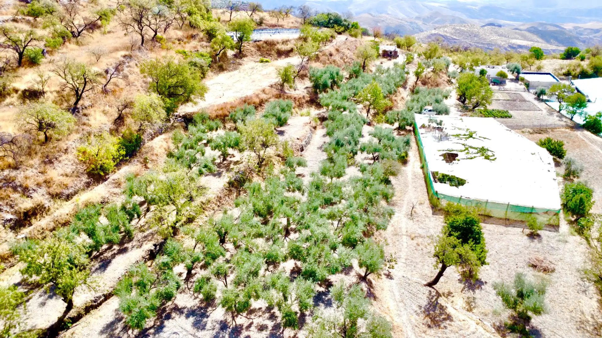 Terreno rustico in vendita a N/A, imagen 8