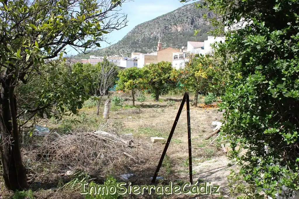 Residencial en venda a Andalucia, Torre Alháquime