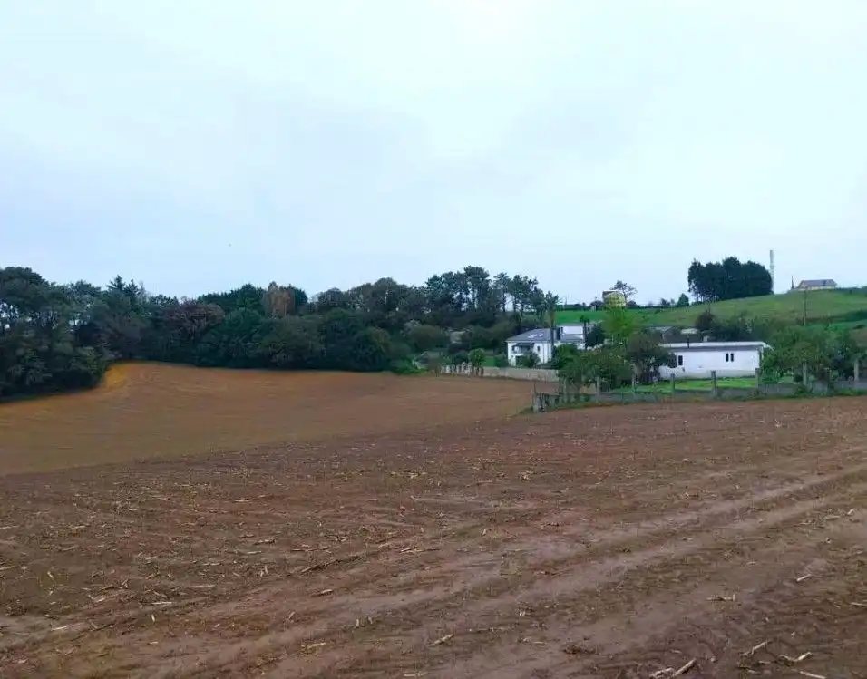 Grundstücke und Bauplätze zum Verkauf in Quintalonga, imagen 2