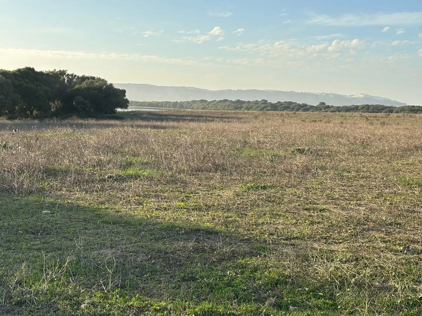 Terreni e lotti in vendita a Vejer, imagen 51