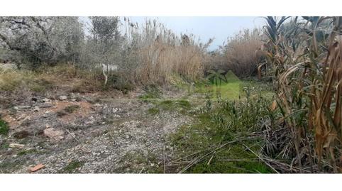 Foto 4 de Residencial en venta en Costa Norte, Vinaròs