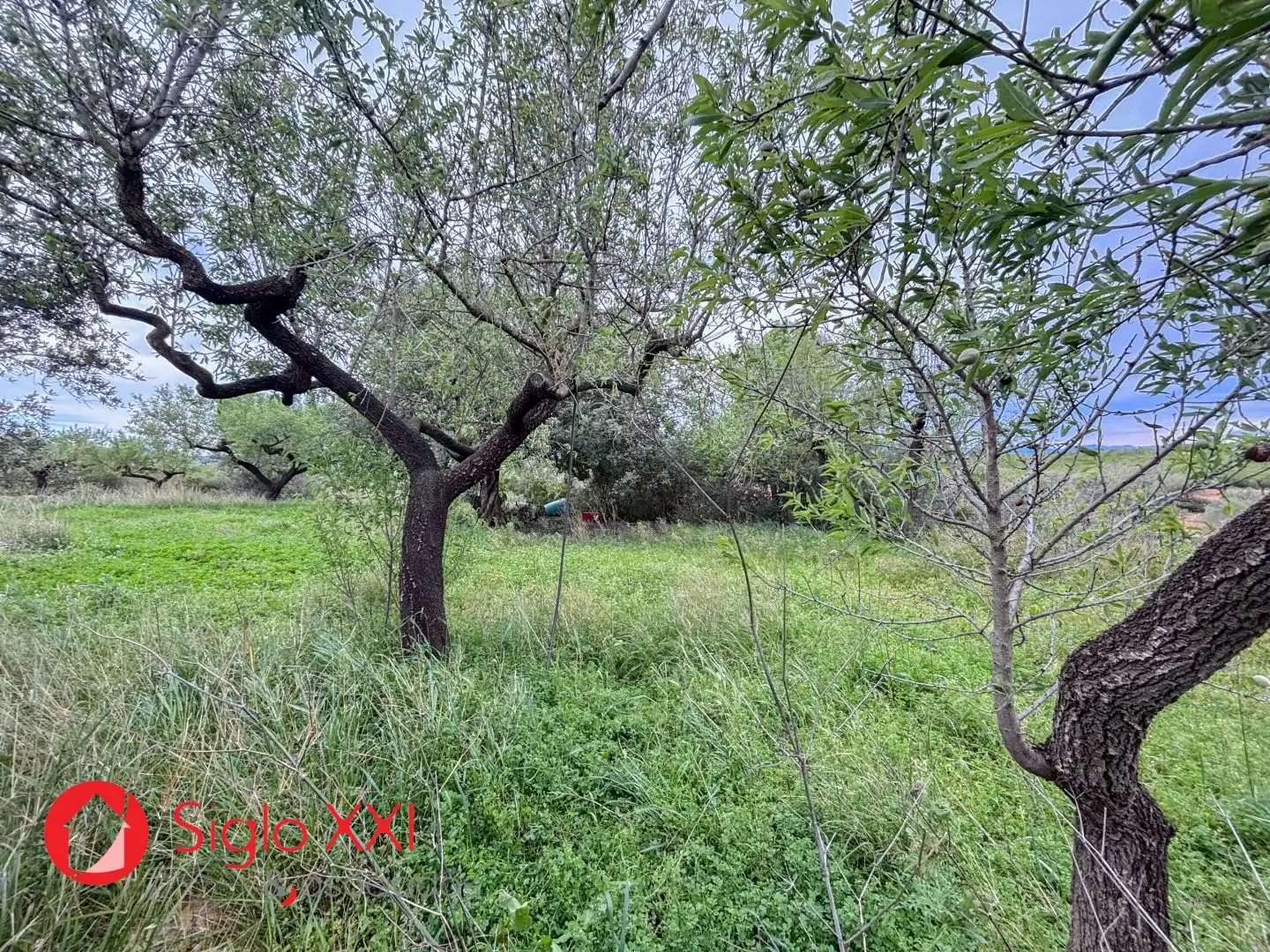 Finca rústica en venda en Vall d'Alba amb Traster