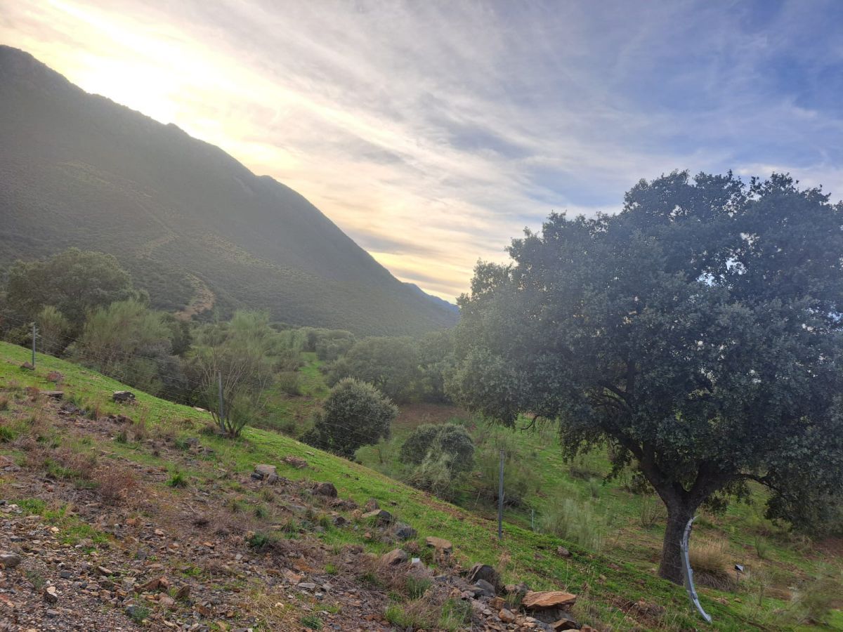Vista exterior de Finca rústica en venda en Villar del Pozo