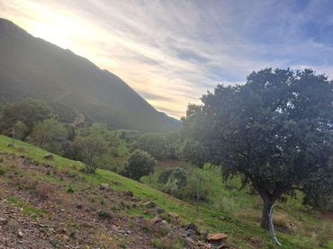 Casa rústica en venda a Villar del Pozo