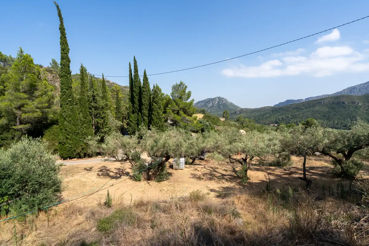 Finca rústica en venda a Carrer de Dalt, 3, Alfara de Carles