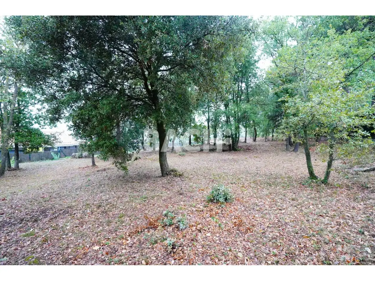 Terreno rustico in vendita a Avenida Goitallops 2, imagen 5