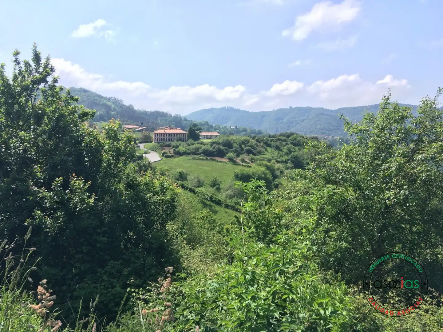 Terreno rustico in vendita a C/ Breceña Km 332, imagen 11