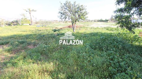 Parcela rústica en venta en Crevillente Alicante, imatge 4