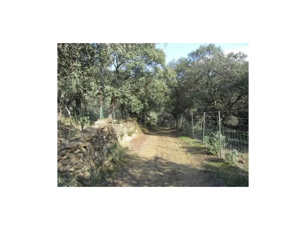 House for sale in Gaucín, imagen 7