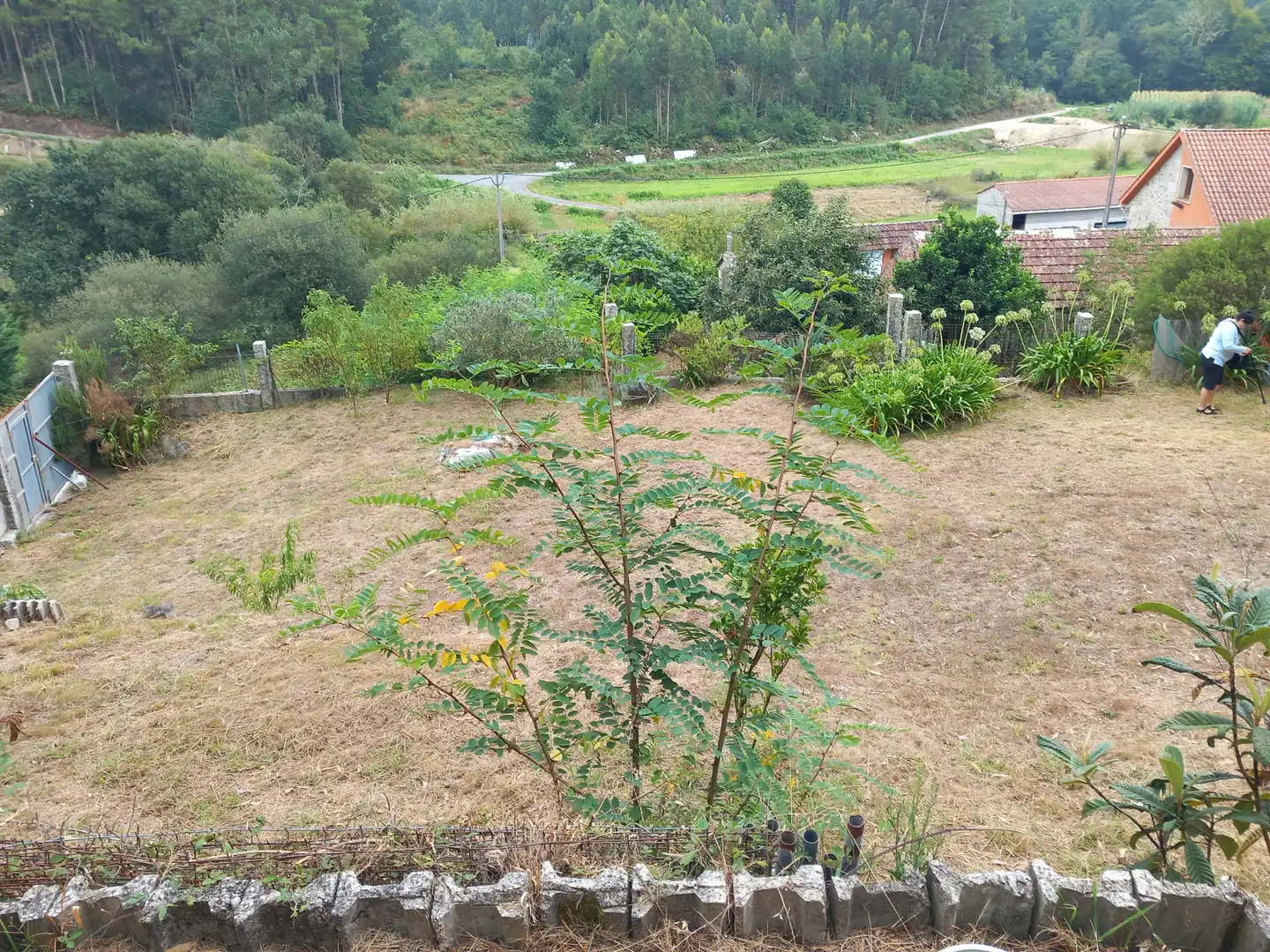 Casa o chalet en venta en Meis