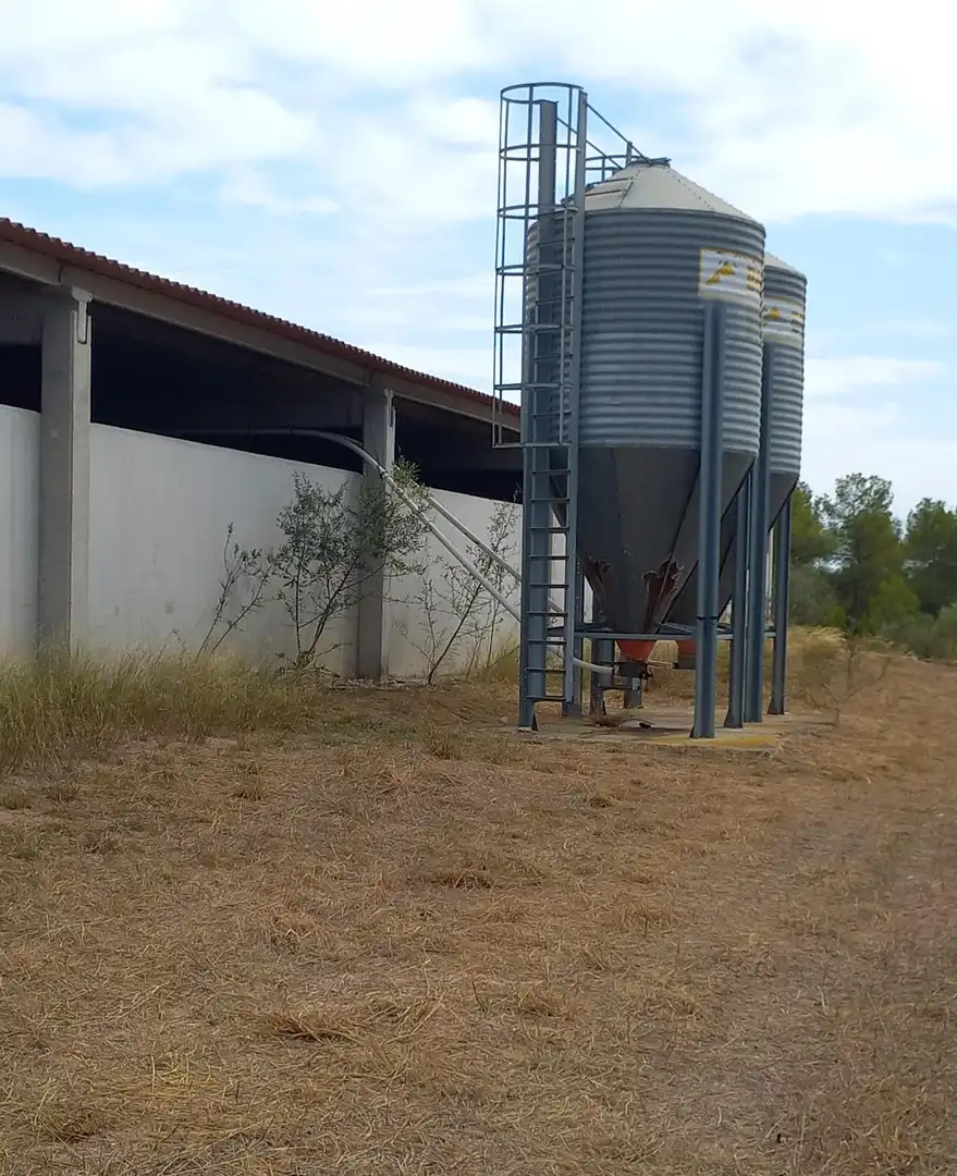 Vista exterior de Finca rústica en venta en Tivissa