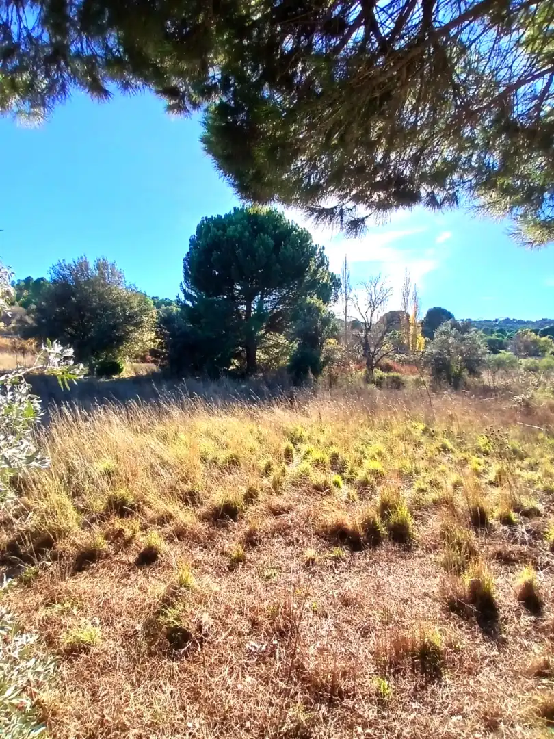 Rural land for sale in M-501, imagen 6