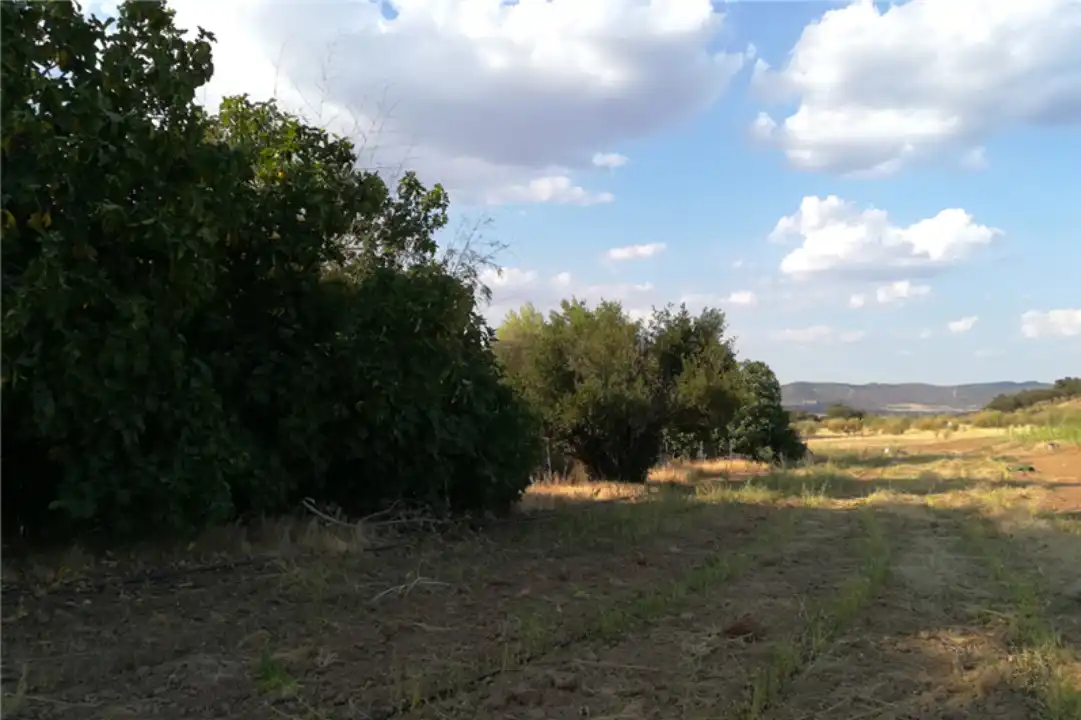 Terreno en venta en Zona Centro
