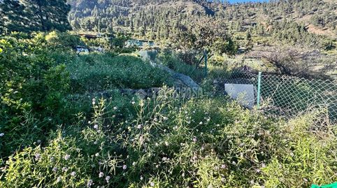 Foto 3 von Grundstücke zum Verkauf in Candelaria - Playa La Viuda, Candelaria