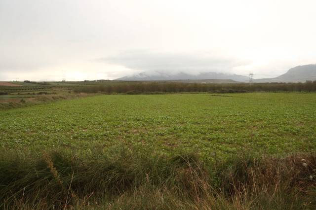 Terreno en Venta en Alberite