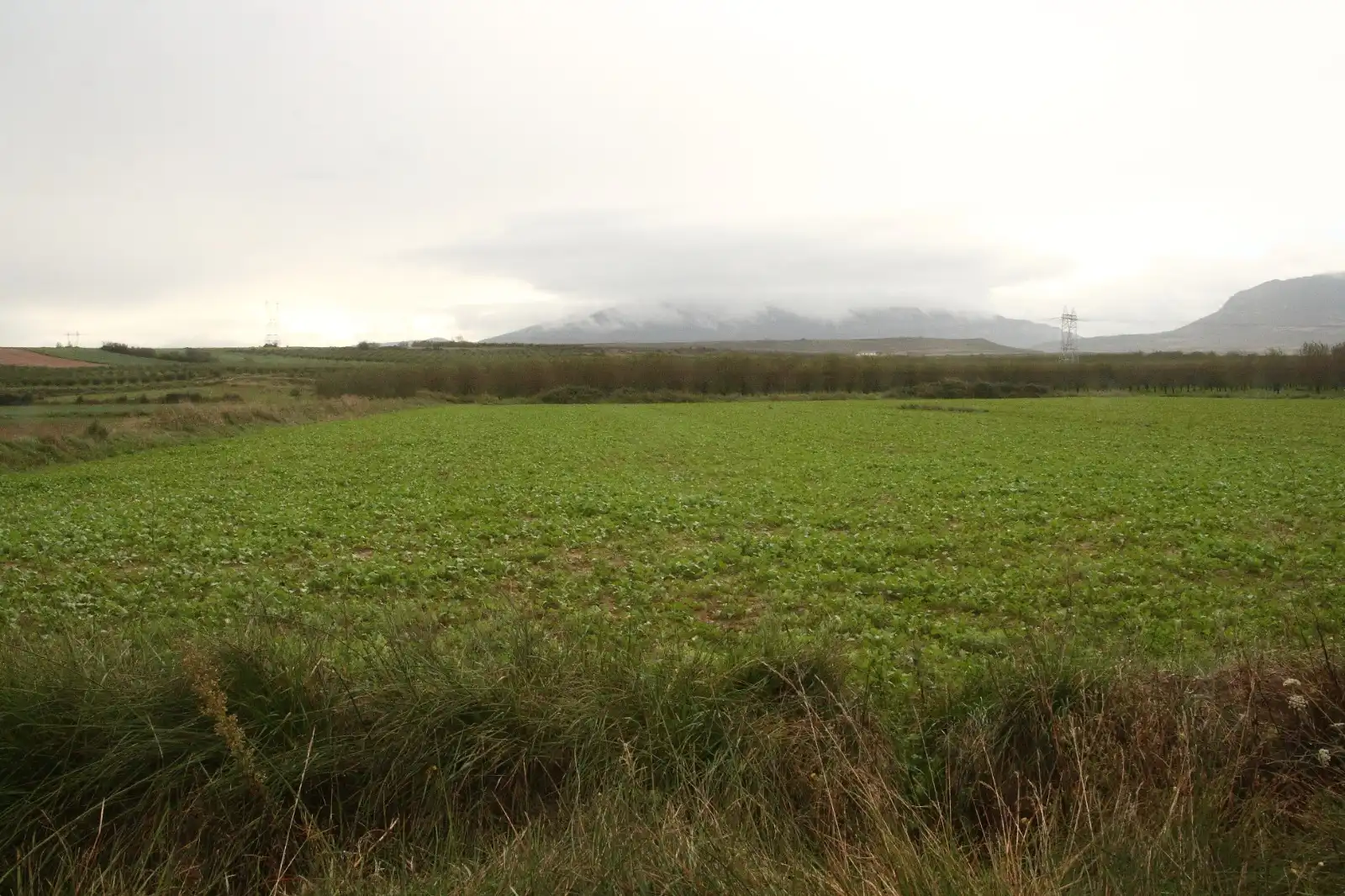 Terrenys i solars en venda a Alberite