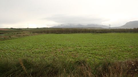 Finca de regadío