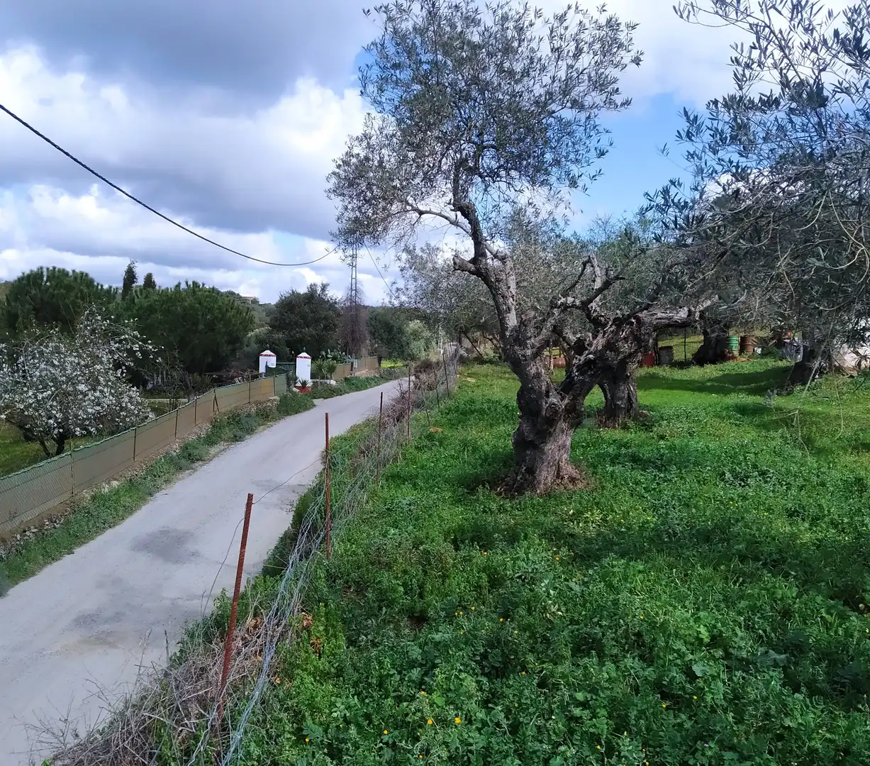 Terreni e lotti in vendita a Jerez de los Caballeros, imagen 29